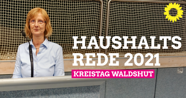 Kreistag: Haushaltsrede 2021