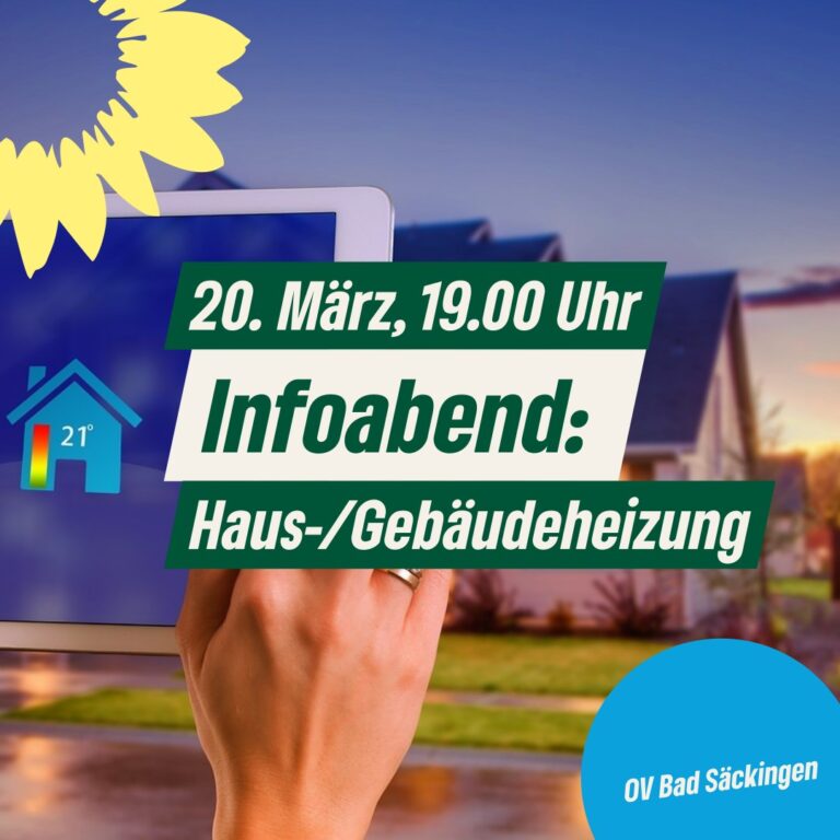 20. März, 19.00 Uhr, Infoabend: Haus/Gebäudeheizung