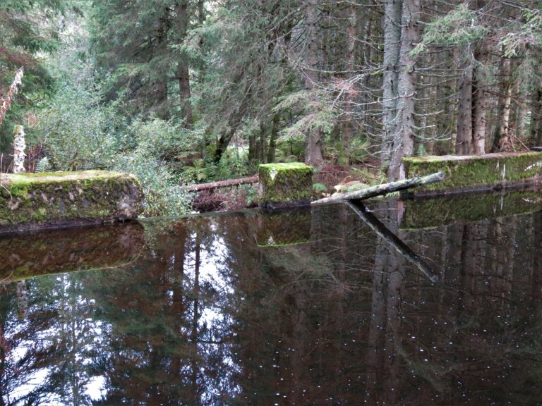 Petition zu geplanten Maßnahmen im Lindauer Tal/Schwarzenbach/Hotzenwald