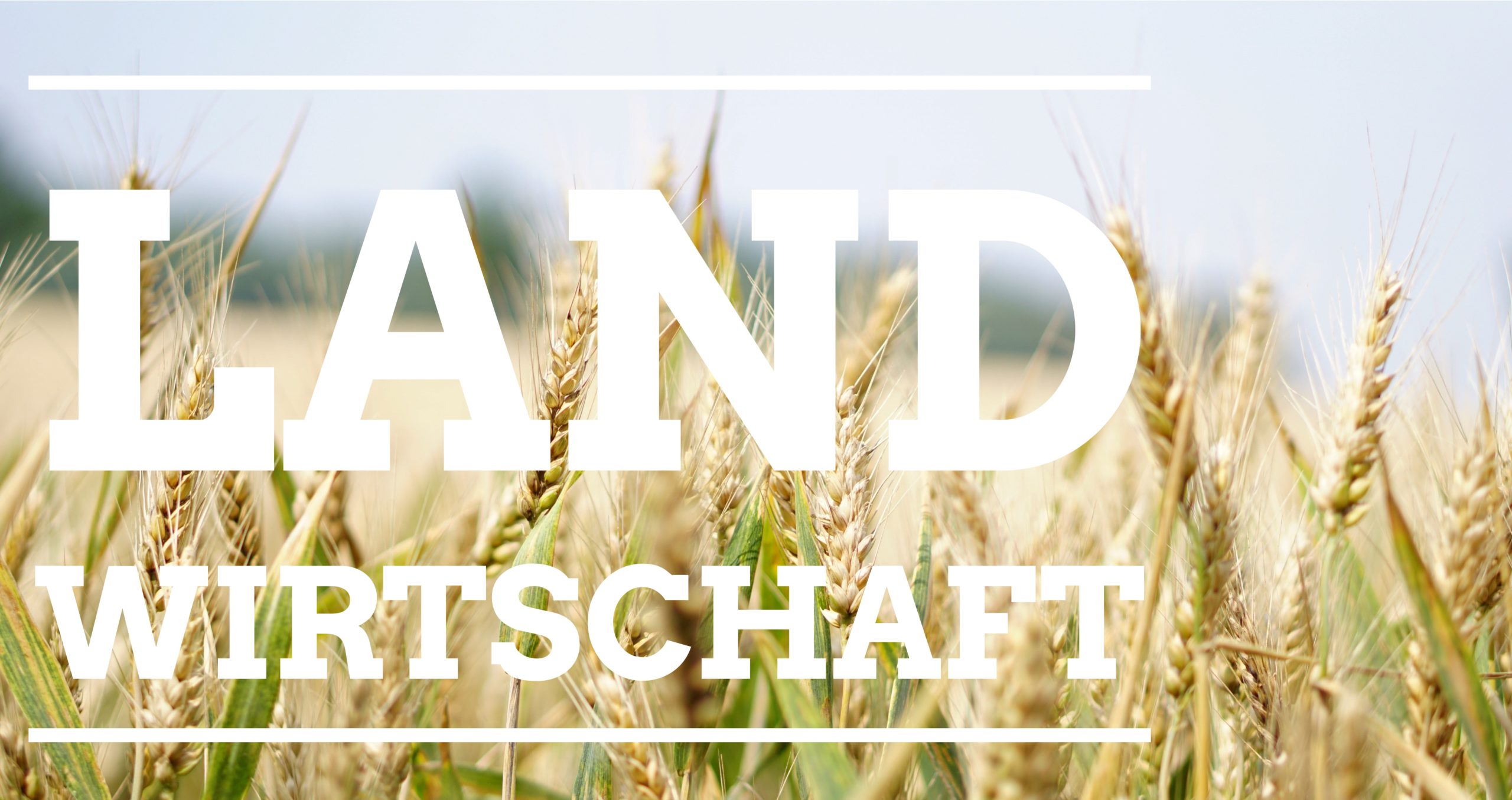 Landwirtschaft – Hotzenwald
