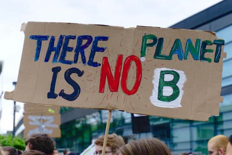 Globaler Klimastreik von Fridays For Future am 03.03.23: Der OV Wehr unterstützte die Aktion mit seiner Teilnahme