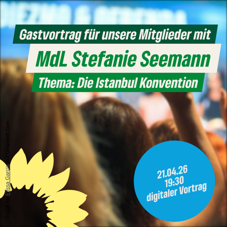 Gastvortrag für Mitglieder von MdL Stefanie Seemann – Die Istanbul Konvention