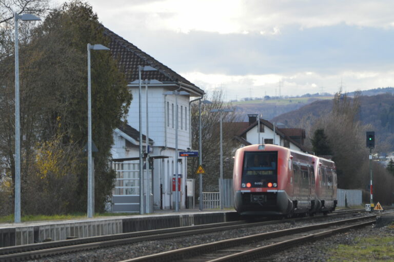 Zweigleisiger Ausbau der Hochrheinbahn notwendig!