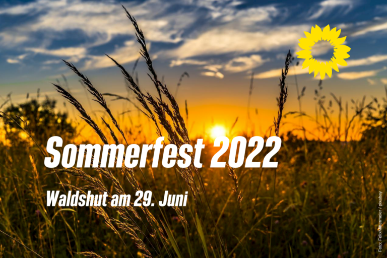 Sommerfest in Waldshut am 29. Juni