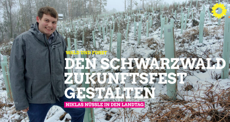Wald und Forst: Den Schwarzwald zukunftsfest gestalten