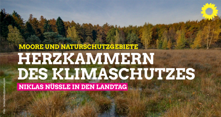 Moore und Naturschutzgebiete: Grüne Herzkammern des Klimaschutzes